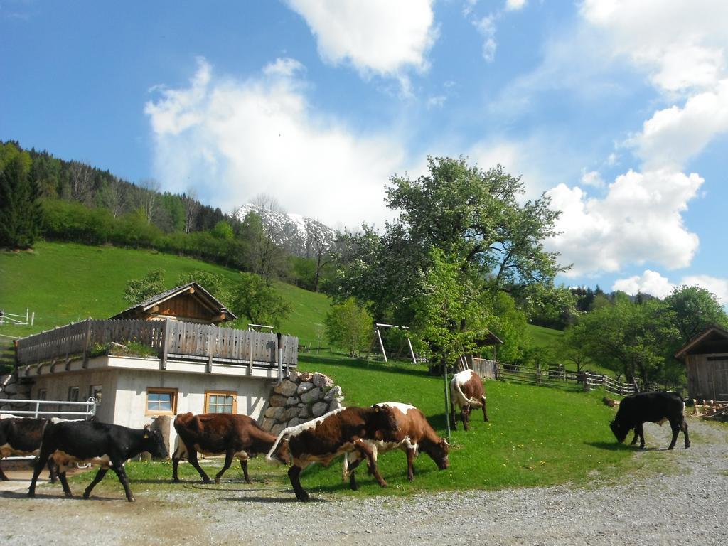 Berghof Thurnergut Spital Am Pyhrn Exterior foto