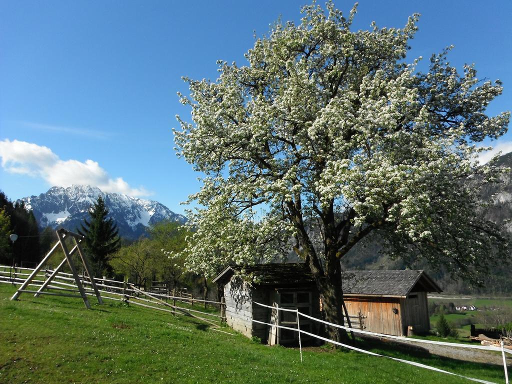 Berghof Thurnergut Spital Am Pyhrn Exterior foto