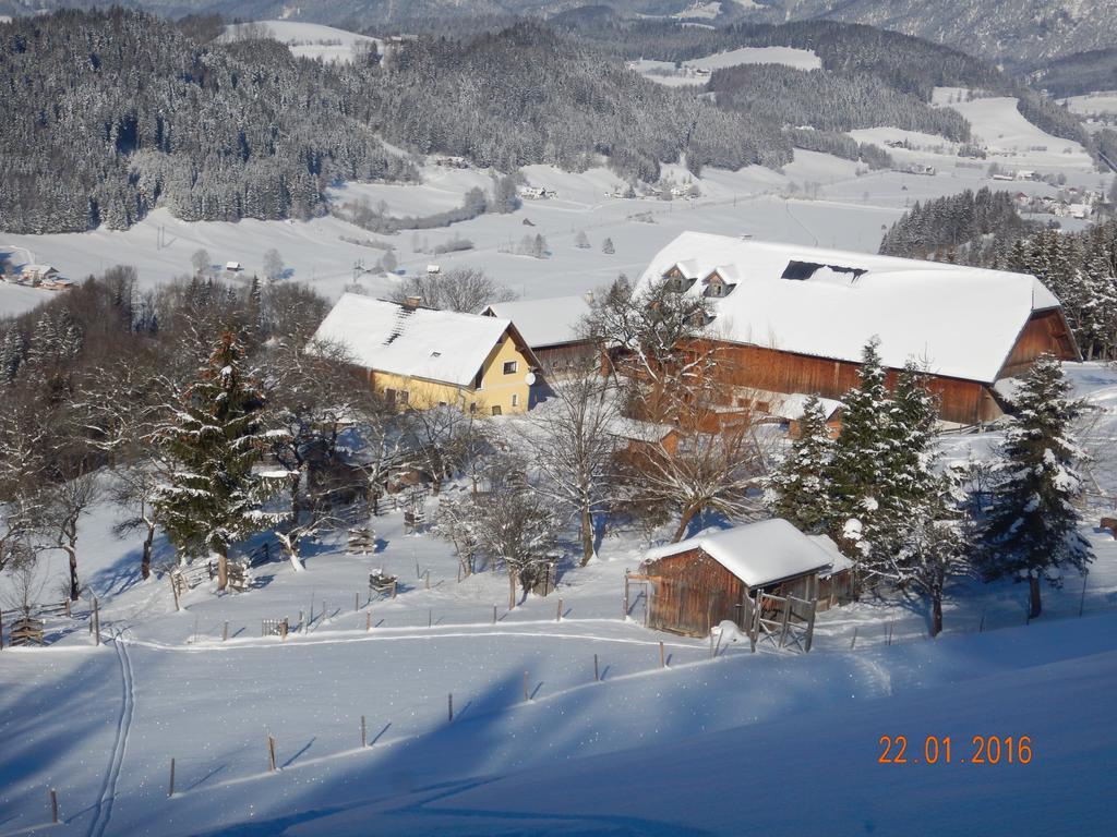 Berghof Thurnergut Spital Am Pyhrn Exterior foto